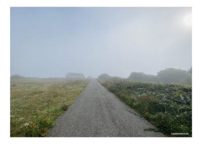 Perce brume Photo numérique Fabien Trarieux 2023