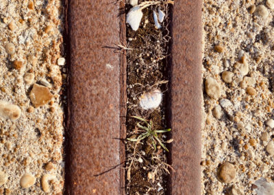 Photographies de textures naturelles - Rouille sur rail