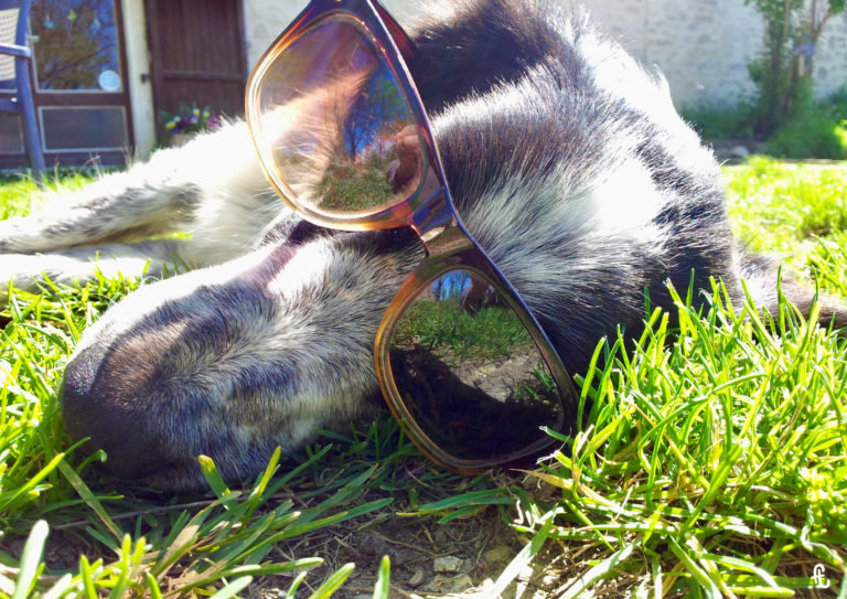 michto avec de lunettes de soleil, impassible, pris en photo par mon fils