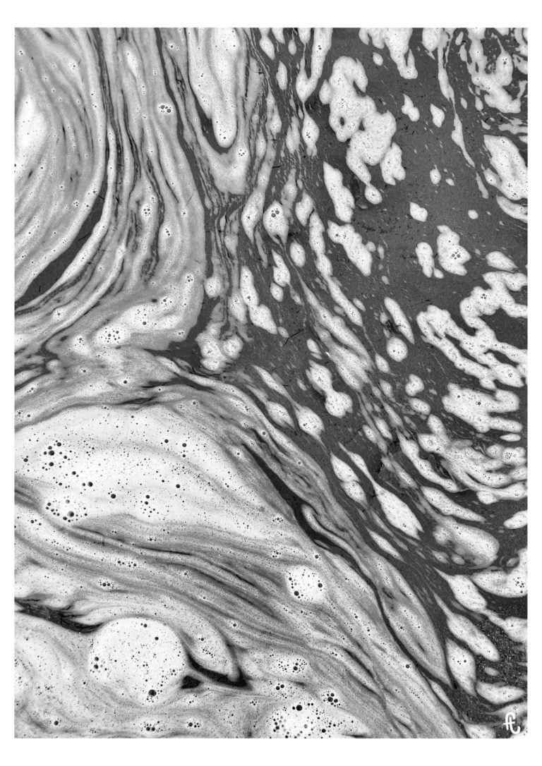 photo de la série J’écume j’m’enrhume 03