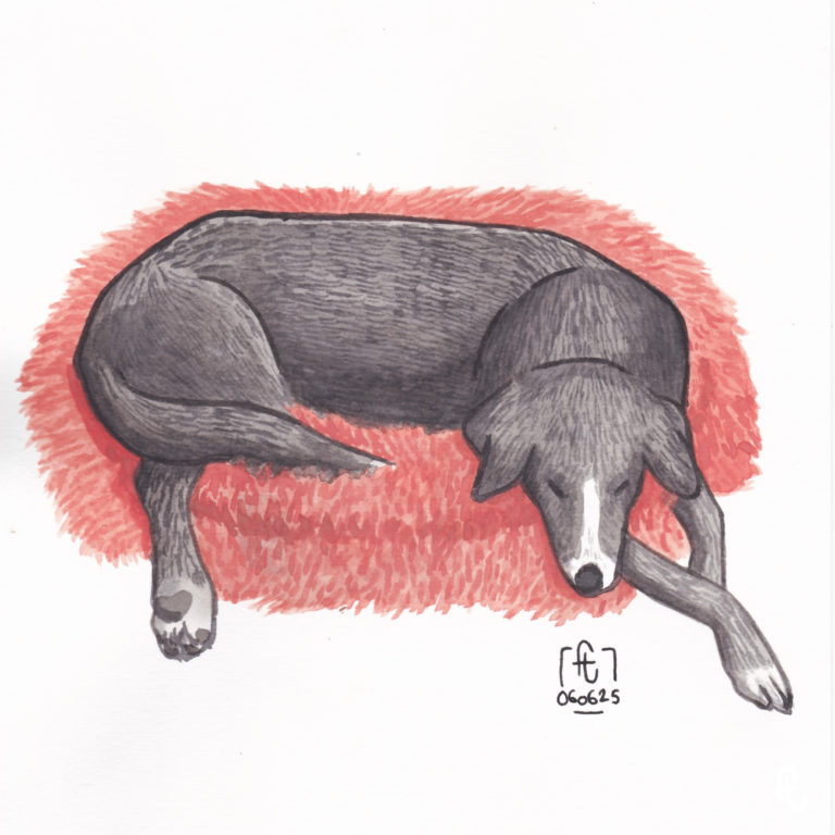 illustration de tikka à l'aquarelle